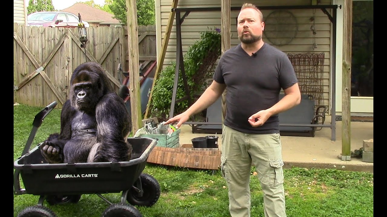 Gorilla Cart Initial Review - YouTube