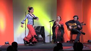 Flamenco, a Cultural Collective, a Gateway to Duende | Paula Sullivan | TEDxSanAntonio