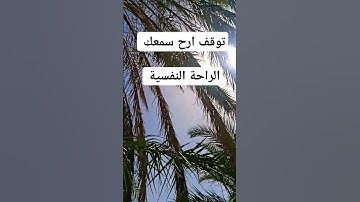 قارئ محمد فقيه تلاوة القرآن الكريم #الجزائر #ouargla #algeria #اكسبلور #ورقلة #لايك #الصحراء #تيك_تو