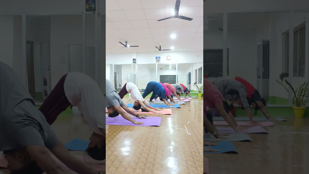 সূর্য নমস্কার// surya namaskar