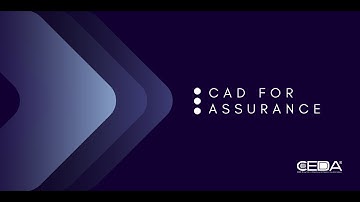 CAD for Assurance Panel 3: Security Assessment and Verification for Microelectronics