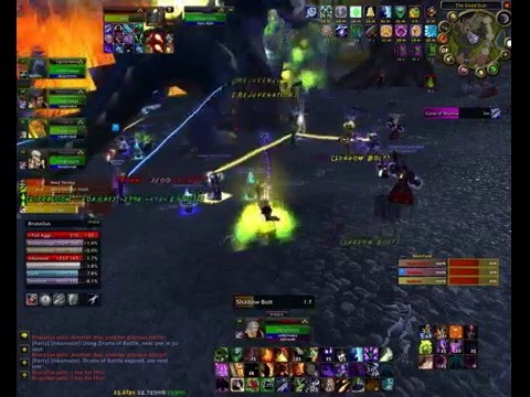 Paladin Tanking Brutallis