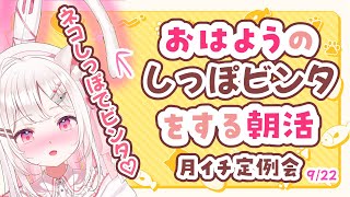 夏目めいの配信のサムネイル画像