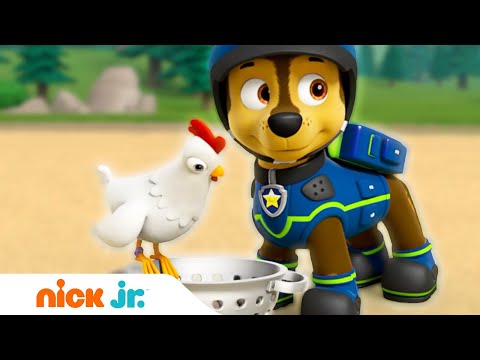 Щенячий патруль | Щенки спасают золото | Nick Jr. Россия