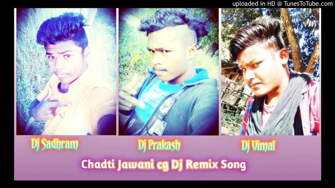 chadti jawani meri remix song download