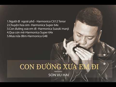NGƯỜI ĐI NGOÀI PHỐ QUA CƠN MÊ CON ĐƯỜNG XƯA EM ĐI MƯA NỬA ĐÊM HARMONICA VŨ HẢI SƠN
