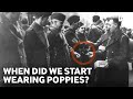 The Symbolism and History of the Poppy