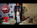 Kate del Castillo pasará navidades en México tras larga ausencia | Al Rojo Vivo | Telemundo