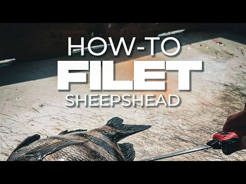 How to Filet Sheepshead, No bones AND Without Dulling Your Blades