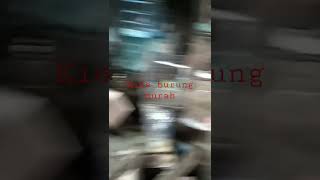 Order Burungshortkicau Mania Malang