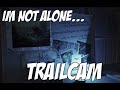 What's hunting the Appalachian trail? FULLGAME #trailcam