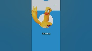 Why the Crypto Industry LIVES on Telegram