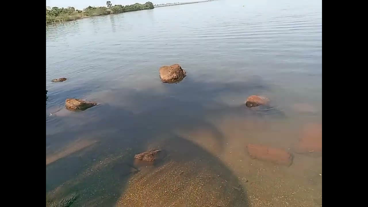 25 de fevereiro de 2026