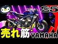 現行人気順全部入り、YAMAHAのバイクランキング