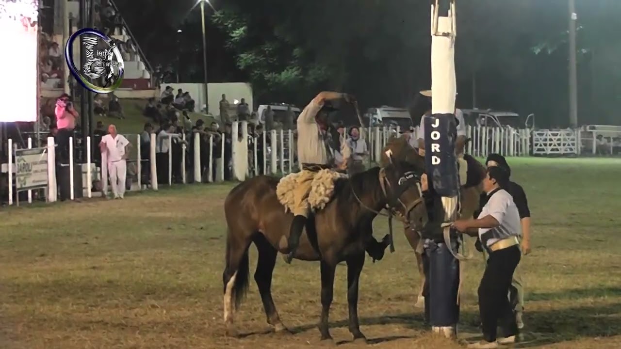 Diamante 2026 - Final de Creadores Categ. Cuero Tendido - 54º Festival Nac. de Jineteada y Folklore