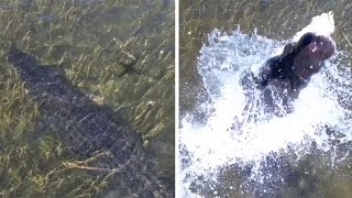 Celebrity Crocodile Attempts To Attack Drone Profile