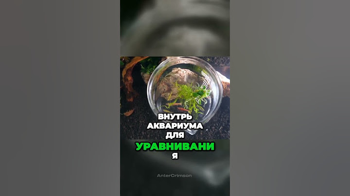 ✅⬆️МЫ КУПИЛИ АКВАРИУМ ИЗ БУДУЩЕГО НА ALIEXPRESS⬆️✅