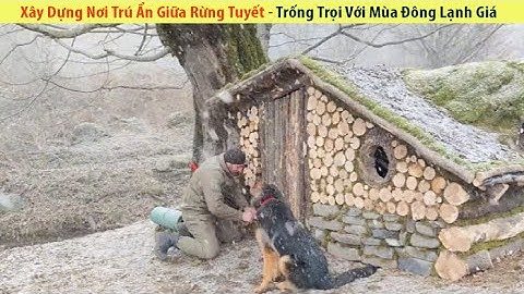 Xây Dựng Nơi Trú Ẩn Giữa Rừng Tuyết Hoang Vu Trống Trọi Với Mùa Đông Lạnh Giá