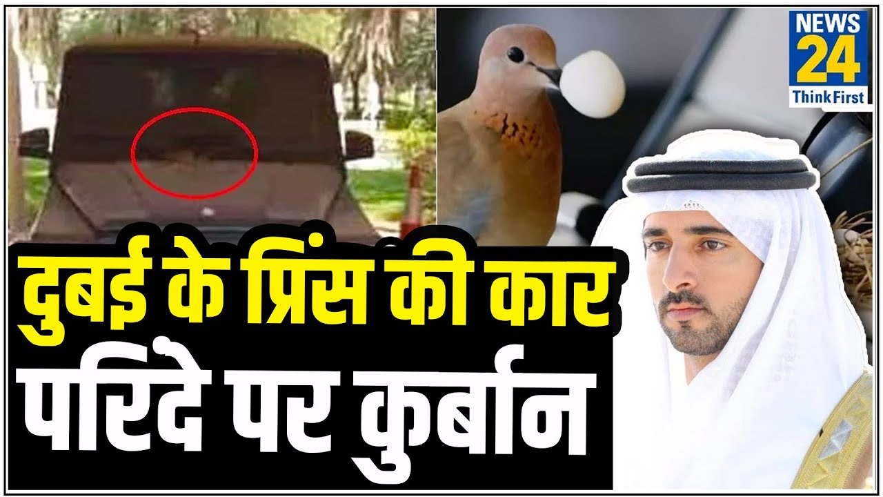 दुबई के प्रिंस की कार पर कबूतर ने बनाया घोंसला, तो प्रिंस ने किया ये काम