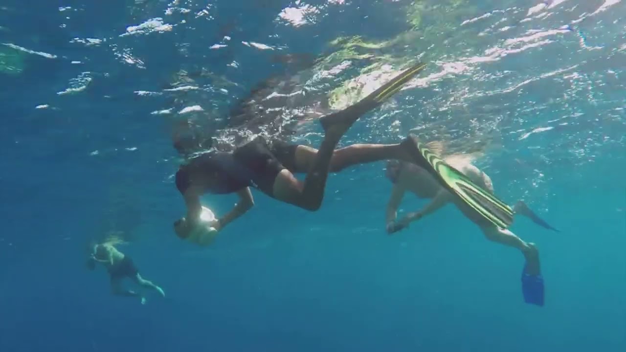 Top 10 Must Visit Spots in Key West! 2025