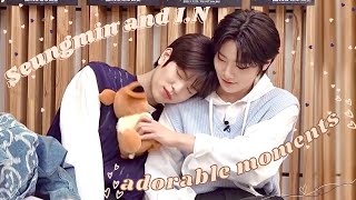 Seungmin and I.N adorable moments pt. 2 | Stray Kids SeungIN