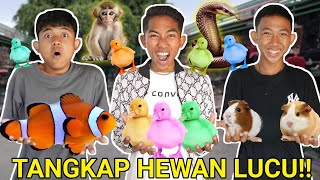 MENANGKAP HEWAN LUCU DIPASAR ADA MARMUT, KURA KURA, IGUANA, IKAN HIAS DAN UL4R?? | Mikael TubeHD