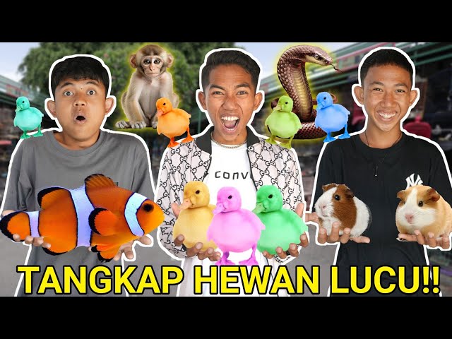 MENANGKAP HEWAN LUCU DIPASAR ADA MARMUT, KURA KURA, IGUANA, IKAN HIAS DAN UL4R?? | Mikael TubeHD class=