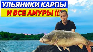 Озеро Ульяники | Карпфишинг и мириады амура