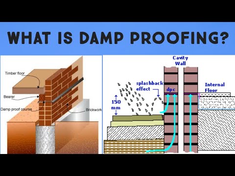 Damp Proofing Experts Ipswich