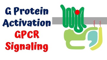 G Protein Activation In GPCR Signaling