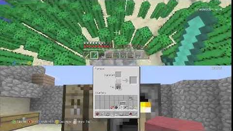 minecraft online part 4 race for the wither