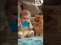 Angry cat