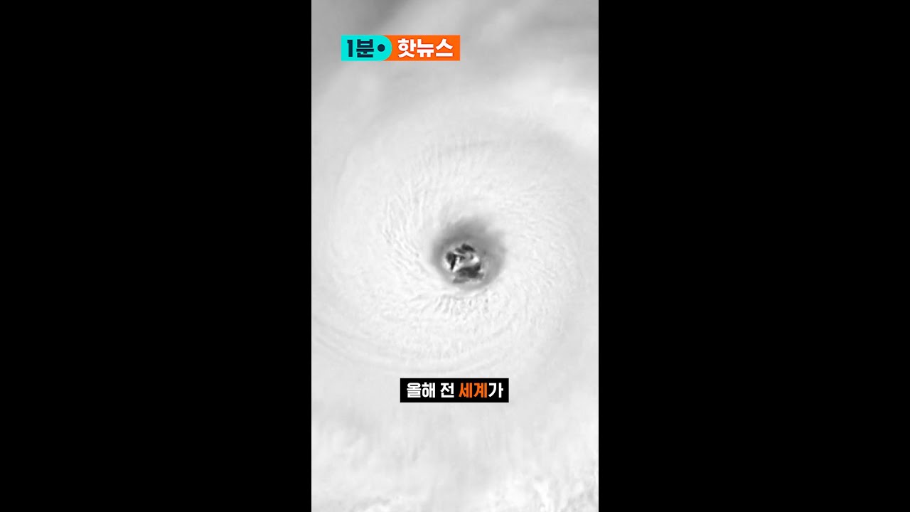 바닷물 온도 최고치 경신…'괴물 태풍'이 몰려온다? / SBS / 1분핫뉴스 / #shotrs