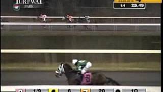 Turfway Park 03052016 Race 4