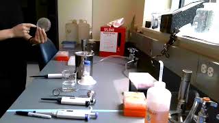 SEA-PHAGES: Spot test