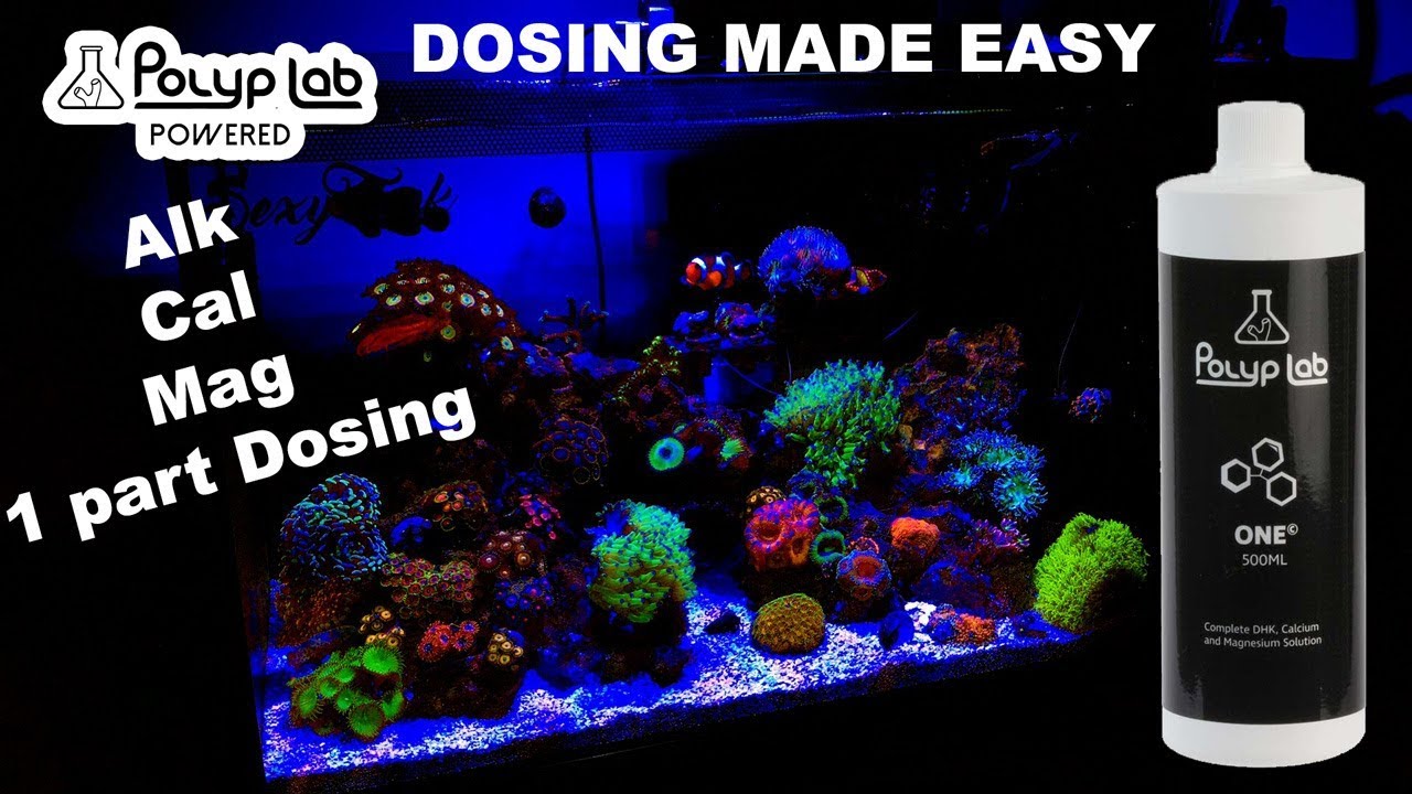 DOSING ALK,CA,MG  POLYPLAB ONE