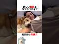 里親と超笑顔な保護犬