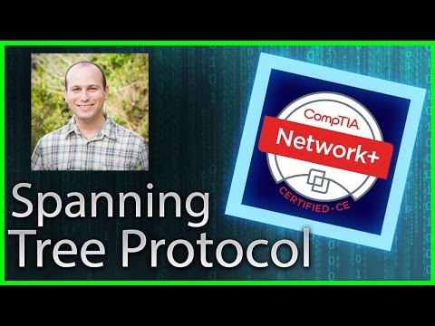 20 - Spanning Tree Protocol (STP)