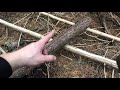 Beginning of video