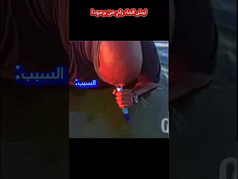 ليش الماء راح من برمودا Ffshorts Freefire Free Freefireshorts Garenafreefire فريفايربالعربي