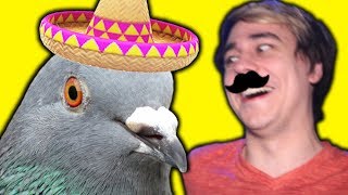 flying bird pigeon simulator 2 4