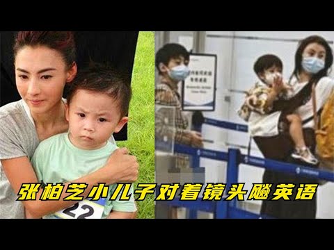 张柏芝三胎儿子亮相，奶声奶气飙英语，网友：确定柏芝的成功教育