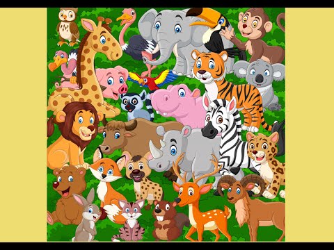 Best Learning Video_ Wild Animals Names and Sounds for Kids Learning_ Wild Animals- new Vocabularies