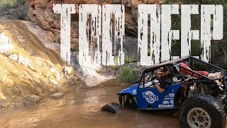 Wheeling The Largest Pondarosa Pine Forest In The World