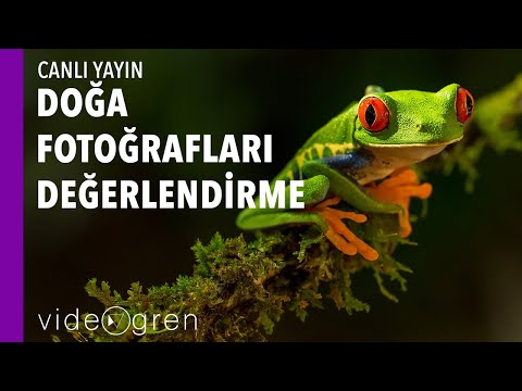 Video: Kalem fotoğrafları