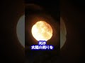 宇宙一巨大な恒星は何ですか？【日本科学情報】 #shorts
