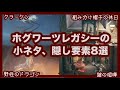 【Hogwarts Legacy】ホグワーツレガシーに隠された小ネタ・隠し要素8選【ホグワーツレガシー】