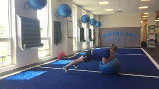 SB Plank Circles (aka Stir the Pot)