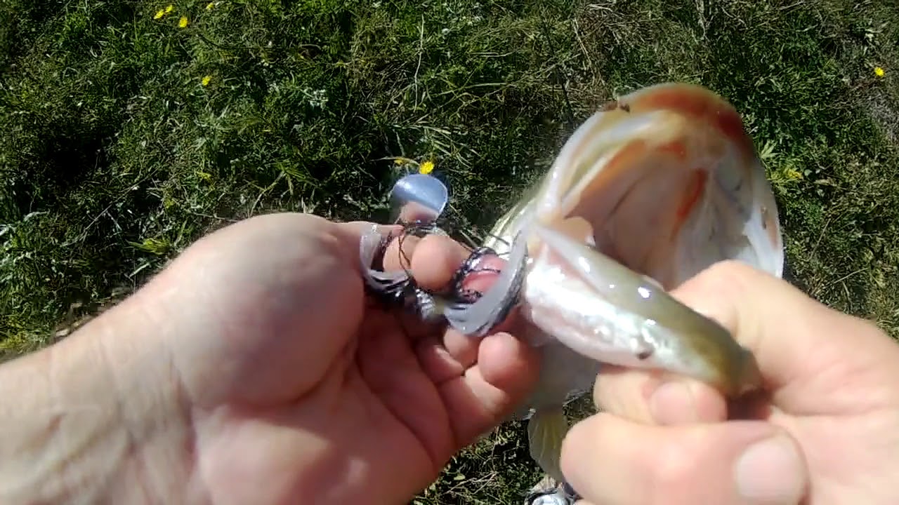 Bass Fishing The Escarpment Hamilton Ontario Canada : Axe Man and Old Guy Fishin