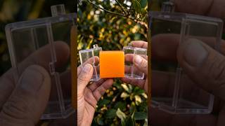The SECRET to Square Oranges: Full Lifecycle revealed! 🍊🟩